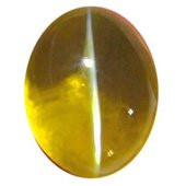 go to Cats Eye page Cats Eye