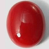 go to Red Coral (Moonga / Munga) page Red Coral (Moonga / Munga)